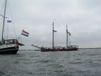 Hanse sail 2010.SANY3656